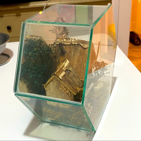 Glass Terrarium Cottage Decor - Picture 6 of 8